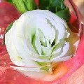 พวกพี่ชาย