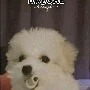 Author UwU