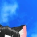 ทุกคน