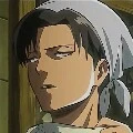 levi