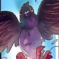 CARRIER PIGEON