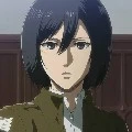 Mikasa(adik levi)