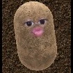 Kentank cute