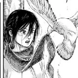 mikasa