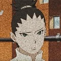 Shikadai