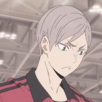 Lev Haiba
