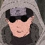 Shino haburame