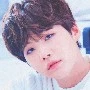 suga