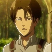 Levi