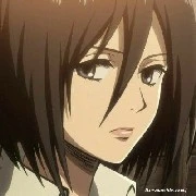 Mikasa