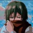 mikasa