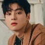 hwang cha eun woo/ taes older brother