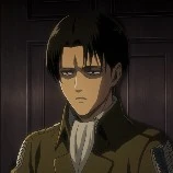 levi