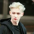 Felix(23)