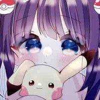 Y/N