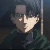 Levi