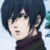 Mikasa