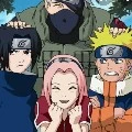 Team 7