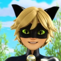 Catnoir