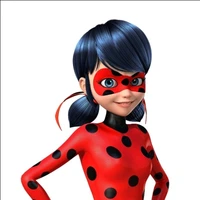 Ladybug