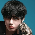 taehyung(v)