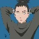 shikamaru (alfa)