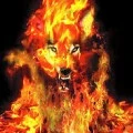 Lobos
