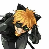 Chat noir