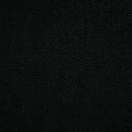 everyone