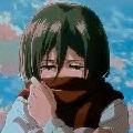 Mikasa