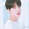 Seokjin (Jin)