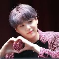 ชูก้า