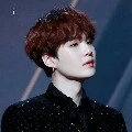 SUGA//🐱