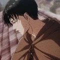 Levi