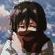 Mikasa Ackermann