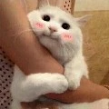 แอดเองอ่ะ