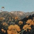 All