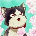 momo(cat)