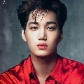 lee kai suy(abang lisa)