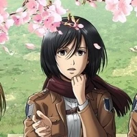 Mikasa