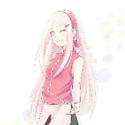 sakura