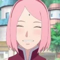 Sakura
