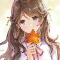 the Author