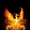 Flame[phoenix api]