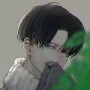 Levi
