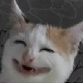 All