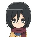 mikasa