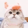 แอดเหมียว~~
