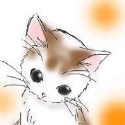 Mr chat 😸