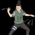 Shikamaru Nara